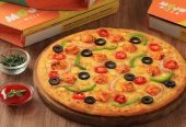 mojo pizza franchise | Dealership Details, Apply Now