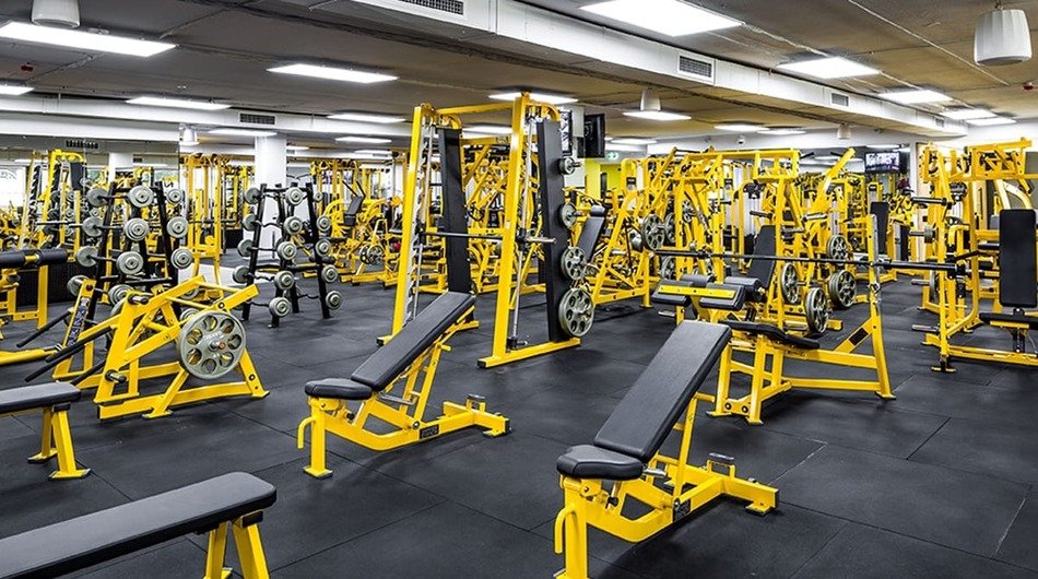 Gold’s Gym Franchise Cost | Dealership Details, Apply Now