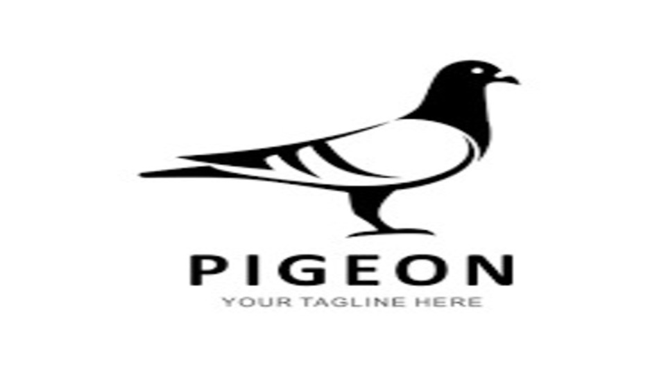 Pigeon Distributorship | Dealership | Franchise Details. Apply Now