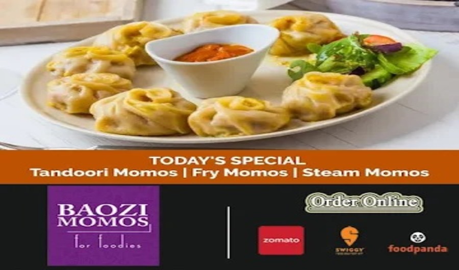 Baozi Momos Franchise | Dealership Details, Apply Now