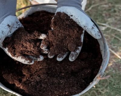 Soil_Conditioner_vs_Compost-min_11zon-1