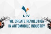 Livindiagroup Franchise | Dealership Details, Apply Now